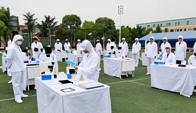 一件代发模式下商品定制的性能边界与适用场景分析