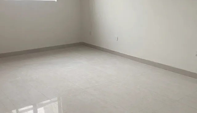 项目管理中选择依据的适用情况与限制