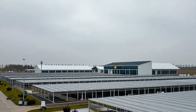 嵌入式软件使用场景中的常见问题及解决方法