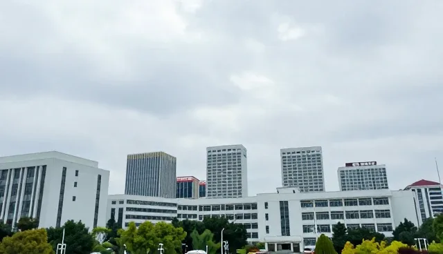 跨平台适配技术在业务发展中的应用与维护策略