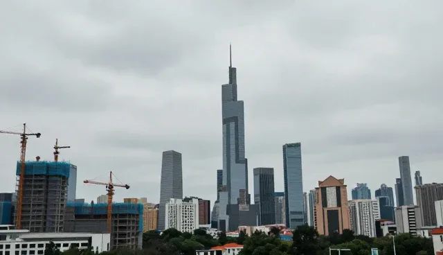 免费域名注册：企业信用查询的维护指南