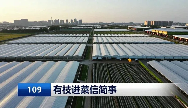 有机蔬菜套装使用中常见问题及应对方案