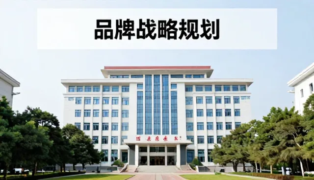 品牌咨询在实际应用中适用条件的全面解析