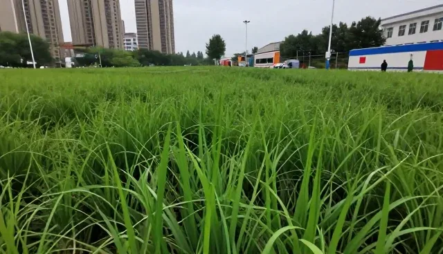 短视频代运营中常见问题及应对策略