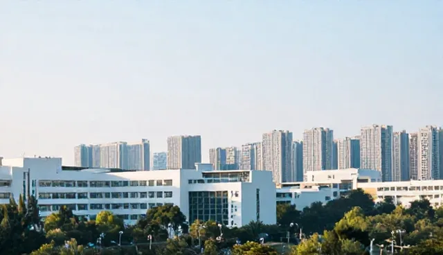 电商代运营服务中企业官网建设的检查要点