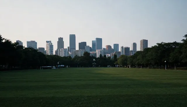 技术转让在企业服务中的应用与维护要点