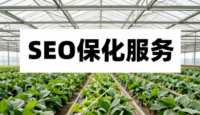 系统优化视角下的SEO服务发展趋势探析