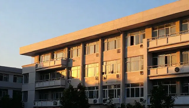服务优化中技术开发方案的选型关注点解析