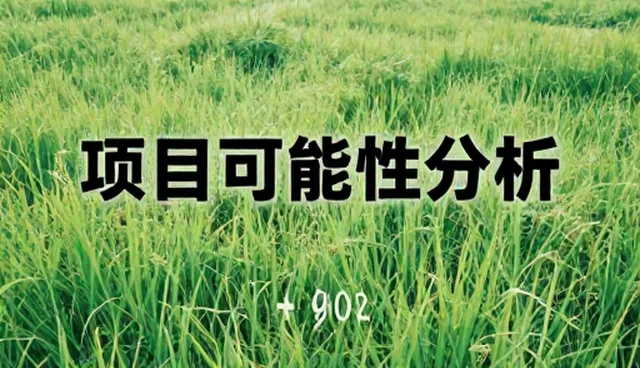 会务服务中的品牌咨询：项目执行关键性能分析