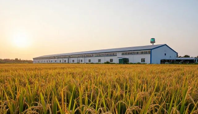 提升农产品收购效率的农业技术应用实践