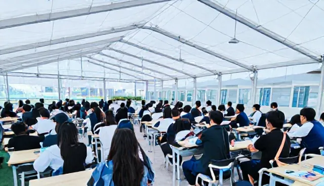 风险防控误区：师资培训中忽视合规细节的常见误解