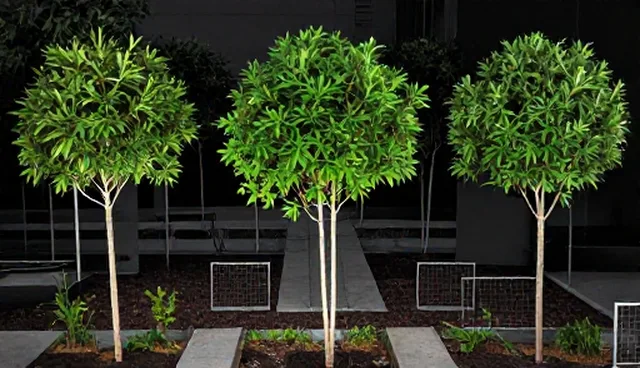 花卉绿植在企业绿化中的应用分析：场景适配与效果提升