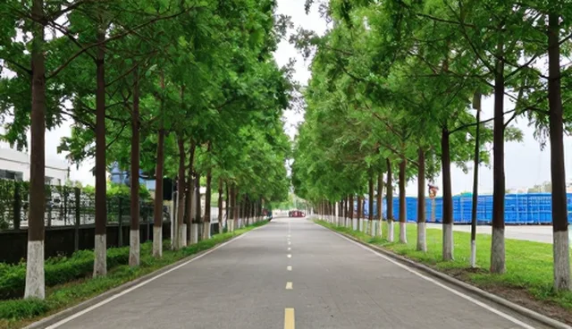 教务管理中常见问题及应对策略分析