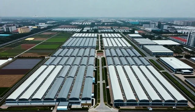 短视频触达效率提升的实用技巧与问题应对