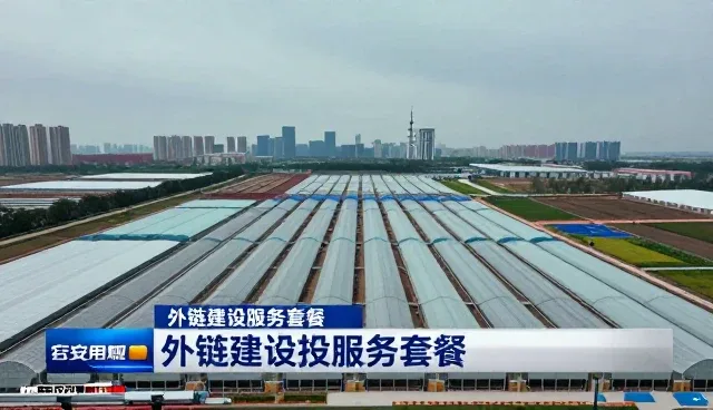 内容营销策略中外链建设的常见问题与应对技巧