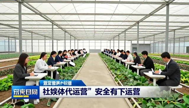 广告设计在数字营销中的场景化应用分析