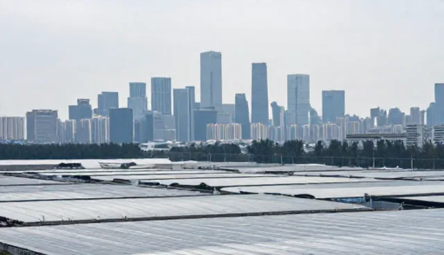 软件研发中性能优化的关键策略与维护建议