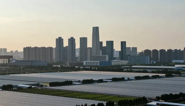 企业升级中技术转让的两种路径对比