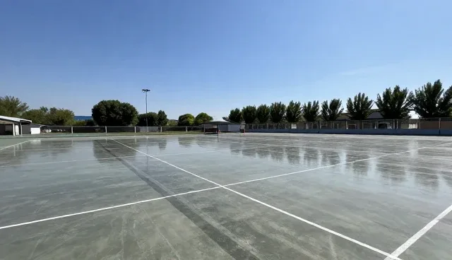 项目执行中行业解决方案的选型建议与问题应对