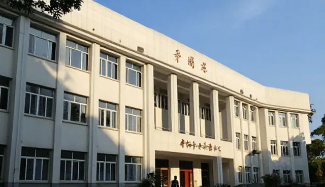 财税诊断服务适用边界：如何判断是否适合使用