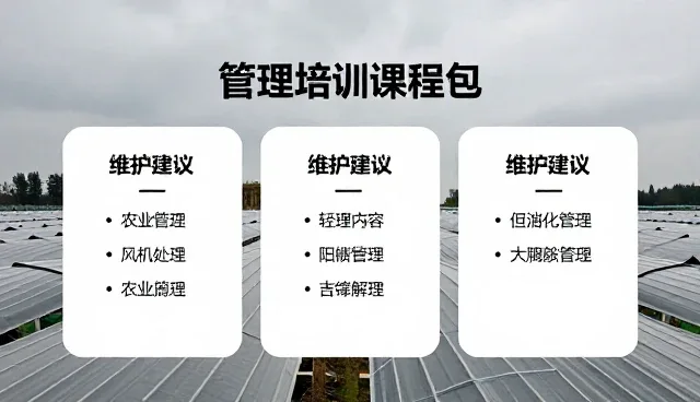 信息资源整合如何影响管理培训课程包的性能表现
