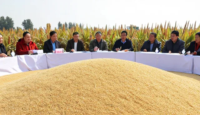 种植技术指导中的常见问题及应对策略
