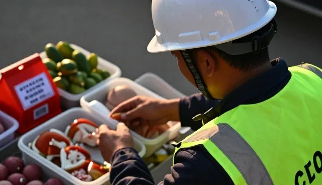 餐饮供应中食材运输的常见问题与应对策略
