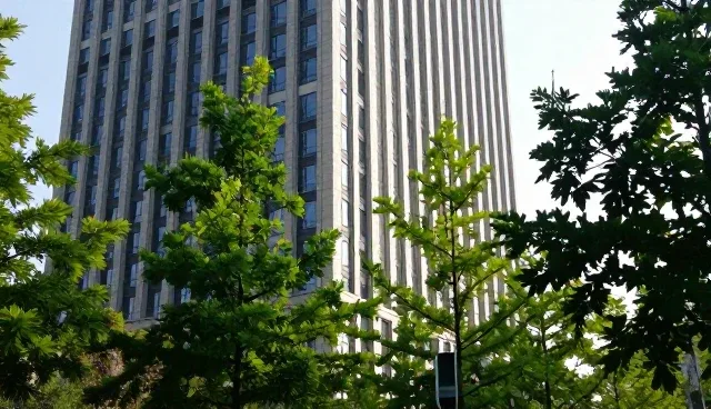 技术转让中选型关注点影响最终效果的原因分析