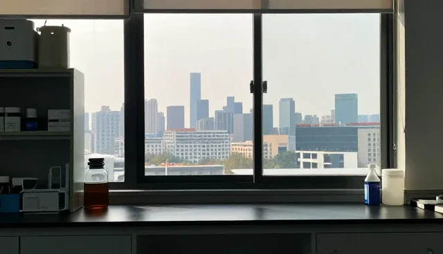 乐清网站建设的适用条件与选择依据分析