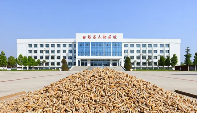 种苗供应中的响应机制与维护策略