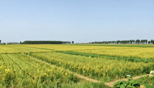 网站建设过程中常见问题及应对策略