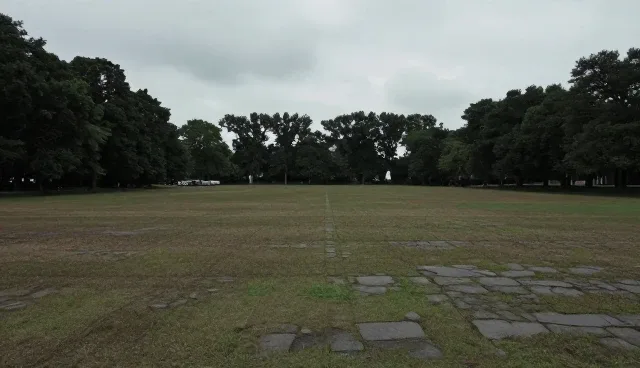 系统架构优化助力运维服务体验升级