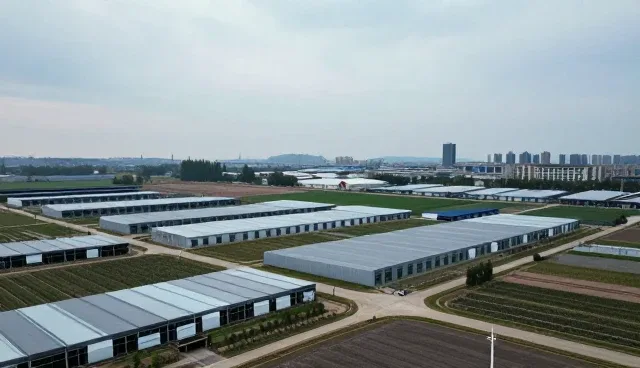 商品采购中的选型关注点：如何在一件代发模式中精准匹配市场需求