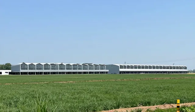 冷链物流在食品研发中的性能表现与适用场景分析