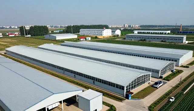 技术选型中的关键考量因素与实际应用分析