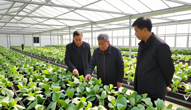 提升种植指导服务的环境适应性方法解析
