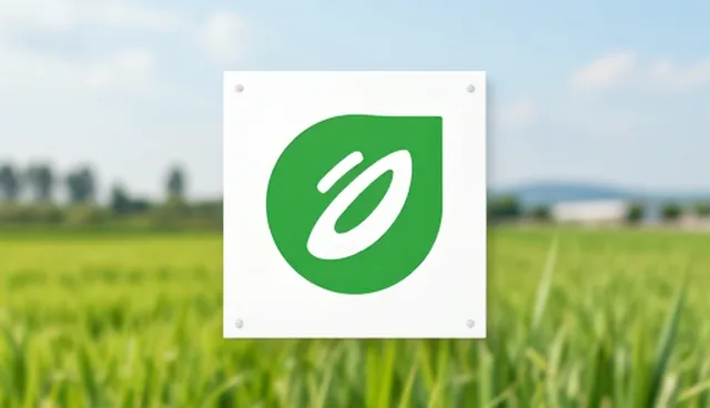 传播方案在不同场景下的适用条件分析