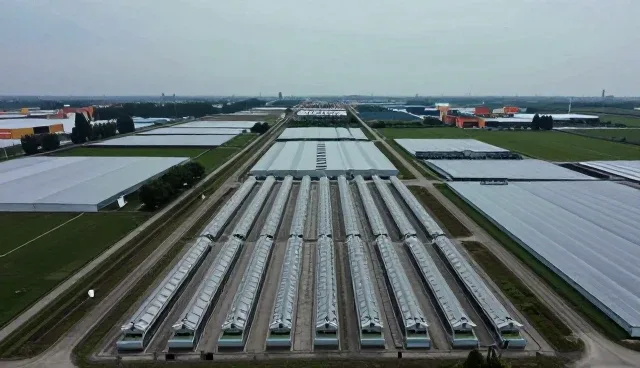 农业物联网传感器选型中的关键考量因素