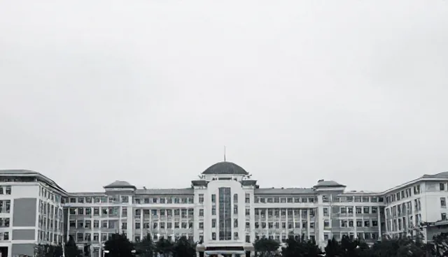 定制化开发中的软件研发检查要点分析