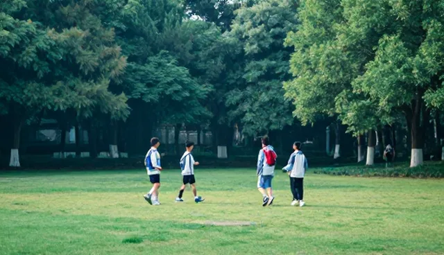 会议接待套餐中交通需求的常见问题及处理方案