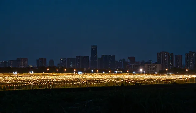业务趋势下线上平台搭建的应用场景分析