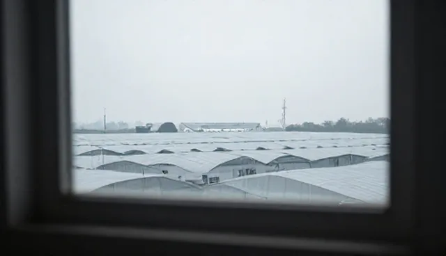 流程优化中服务商选型的五大关注点