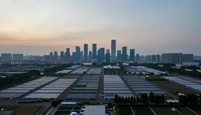 系统维护中技术咨询如何选型？