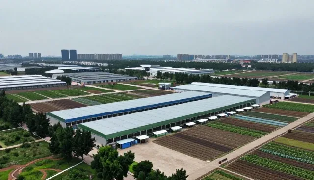 市场调研在企业会务中的实际应用与价值挖掘