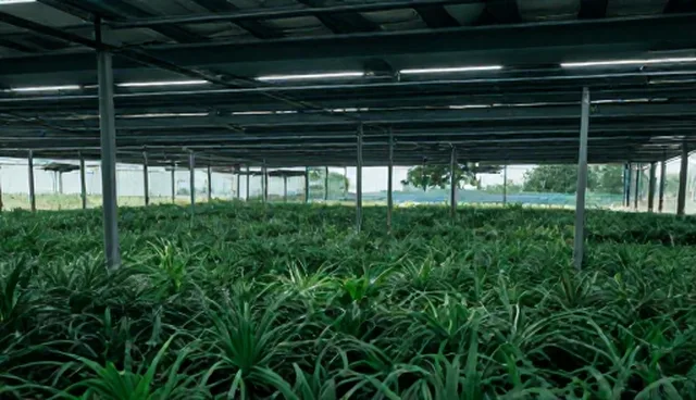 宣传片制作在新媒体运营中的多场景应用分析