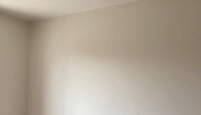 软装搭配在装修中的适用场景与限制分析