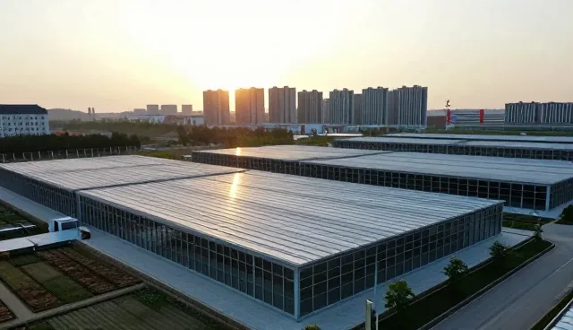 直播运营制作流程在电商场景中的应用与优化