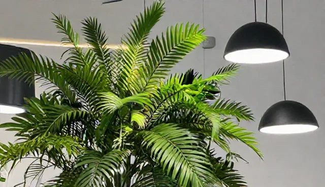 提升品牌曝光度的优化策略：数据同步使用与维护建议