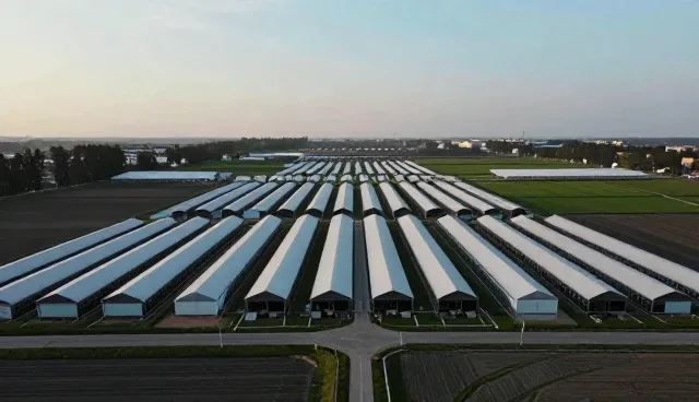 批发零售中连接稳定性对供应链优化的影响与应对策略