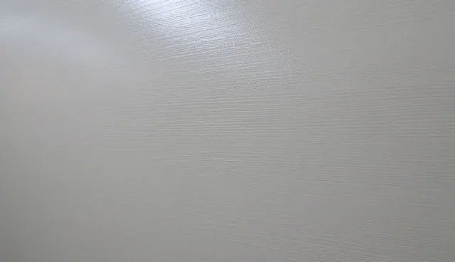 家庭护理服务：性能与适用条件的场景分析